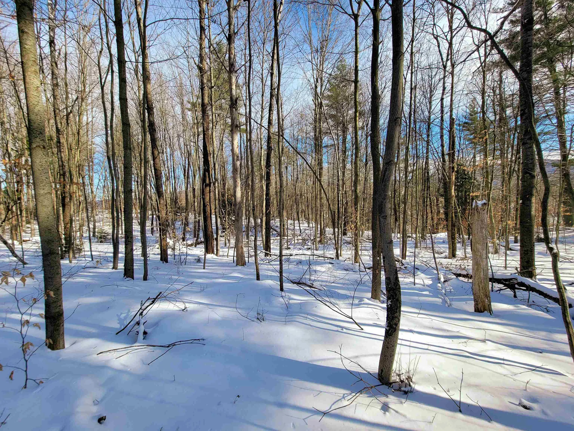 80 Carroll Road Waitsfield VT 05673