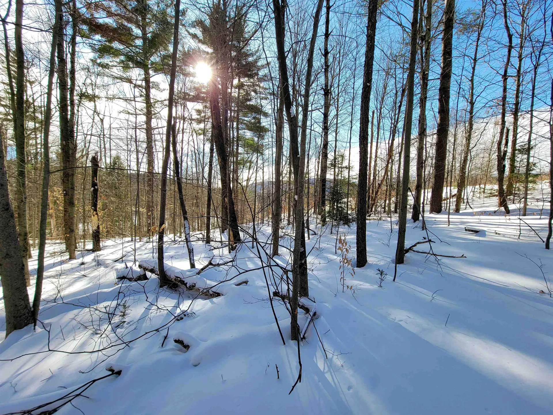 80 Carroll Road Waitsfield VT 05673