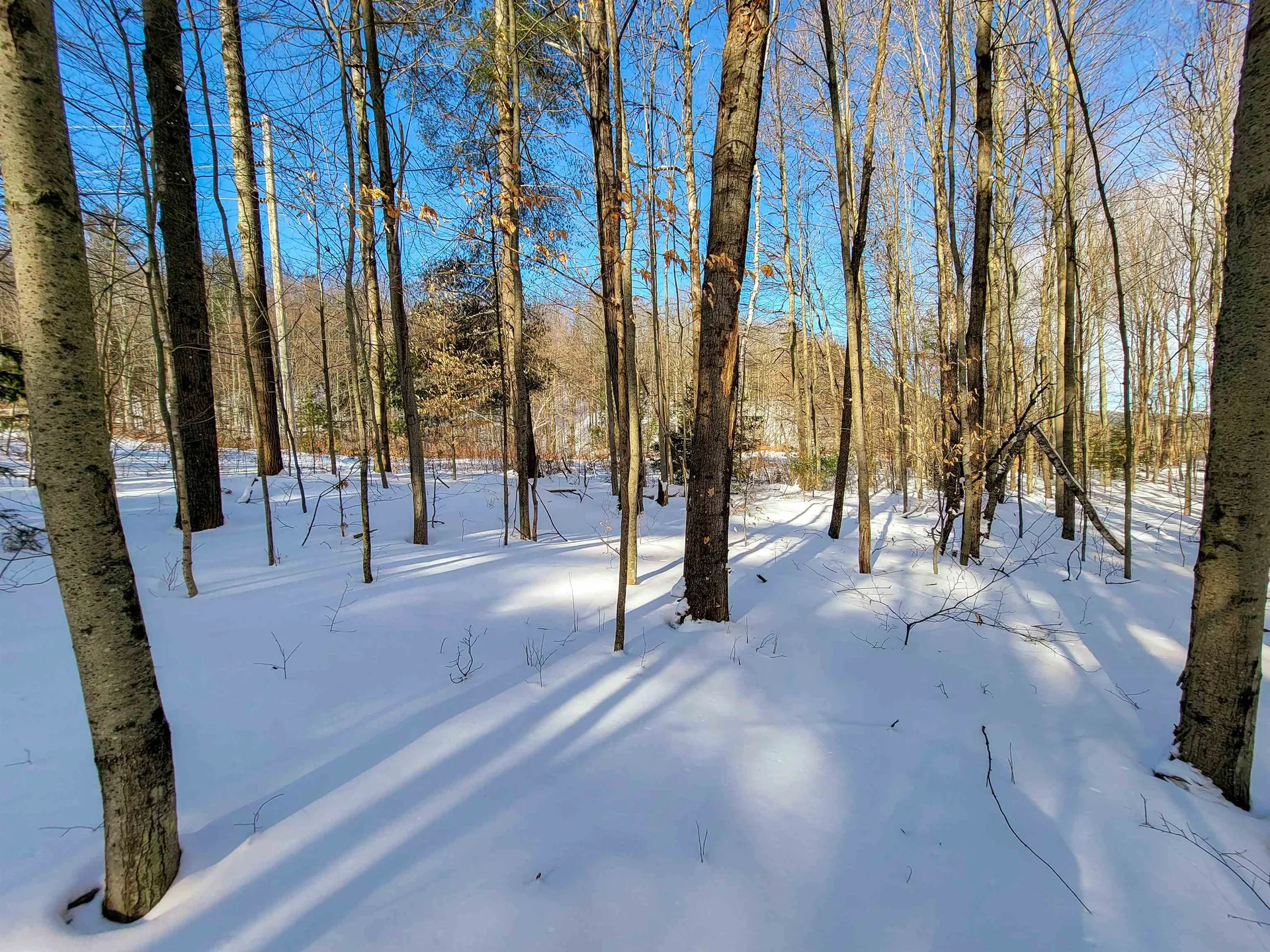 80 Carroll Road Waitsfield VT 05673