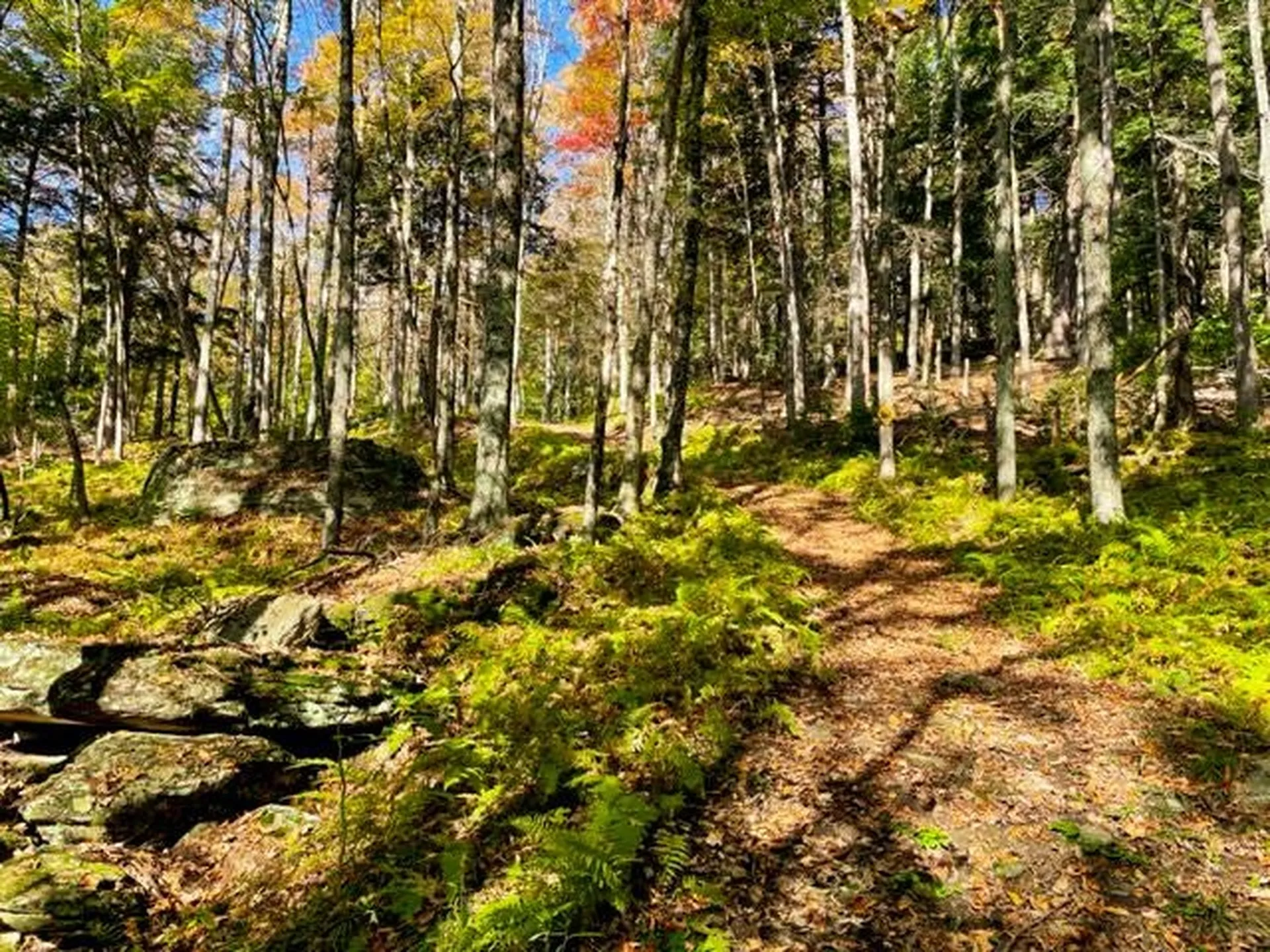 80 Carroll Road Waitsfield VT 05673