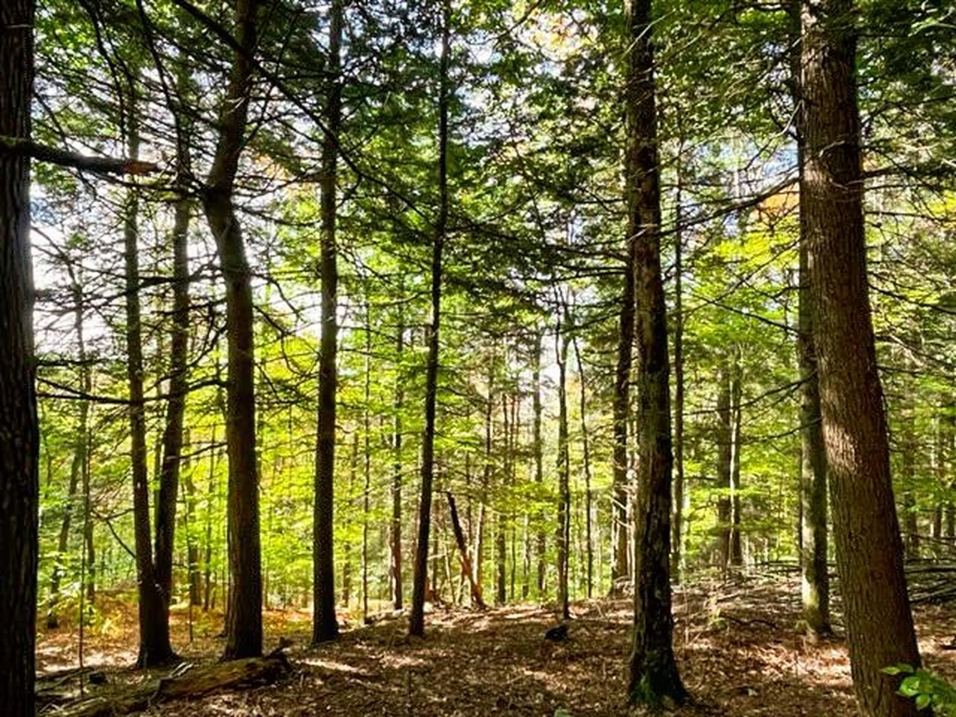 80 Carroll Road Waitsfield VT 05673