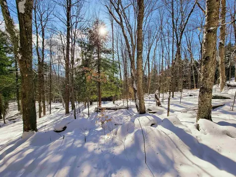 80 Carroll Road Waitsfield VT 05673