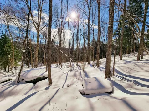 80 Carroll Road Waitsfield VT 05673