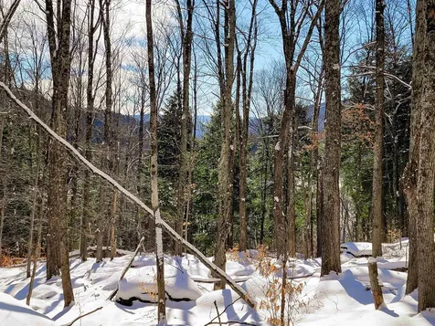 80 Carroll Road Waitsfield VT 05673