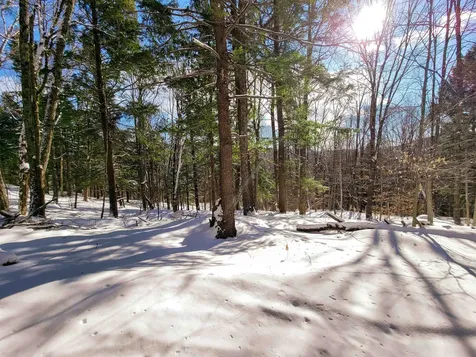 80 Carroll Road Waitsfield VT 05673