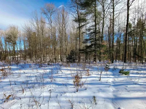 80 Carroll Road Waitsfield VT 05673