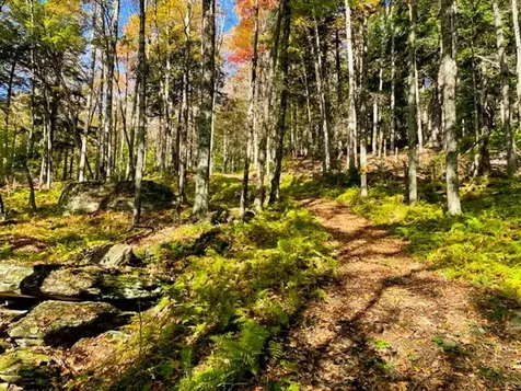 80 Carroll Road Waitsfield VT 05673