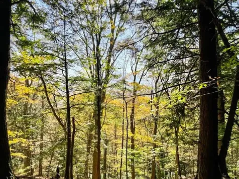 80 Carroll Road Waitsfield VT 05673