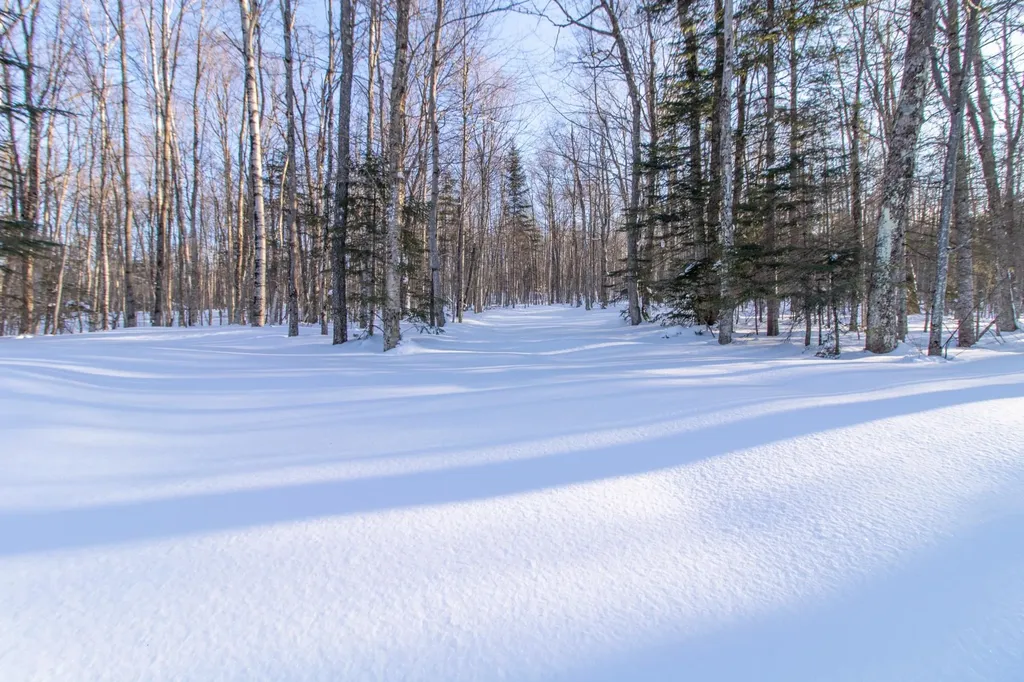 980 Paradis Mountain Road Brighton VT 05846