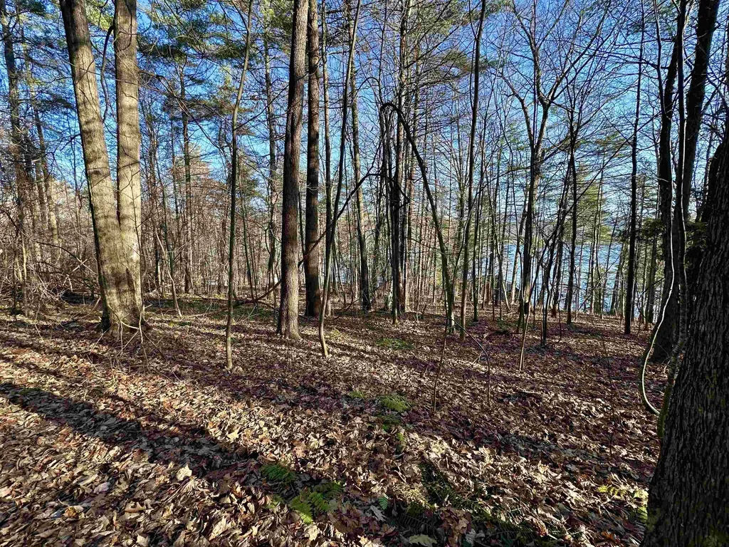 000 West Lake Road Poultney VT 05764