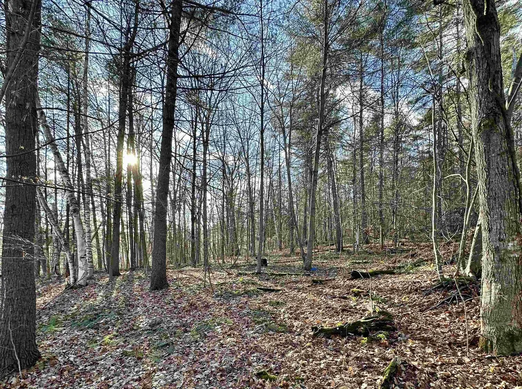 000 West Lake Road Poultney VT 05764