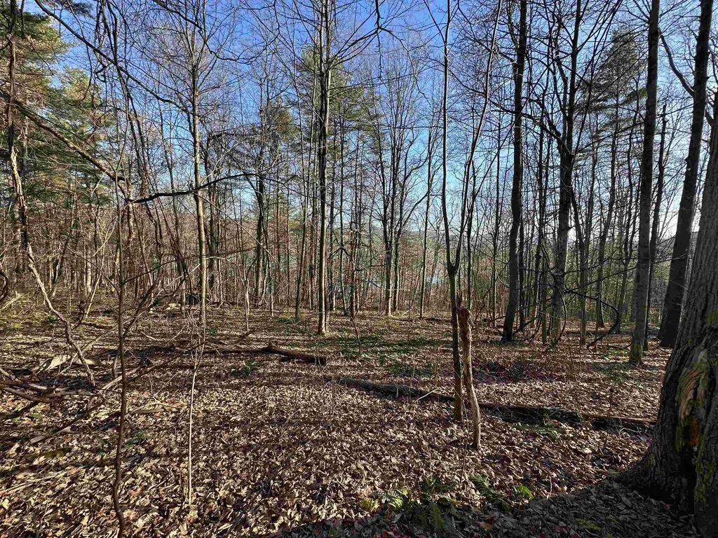 000 West Lake Road Poultney VT 05764