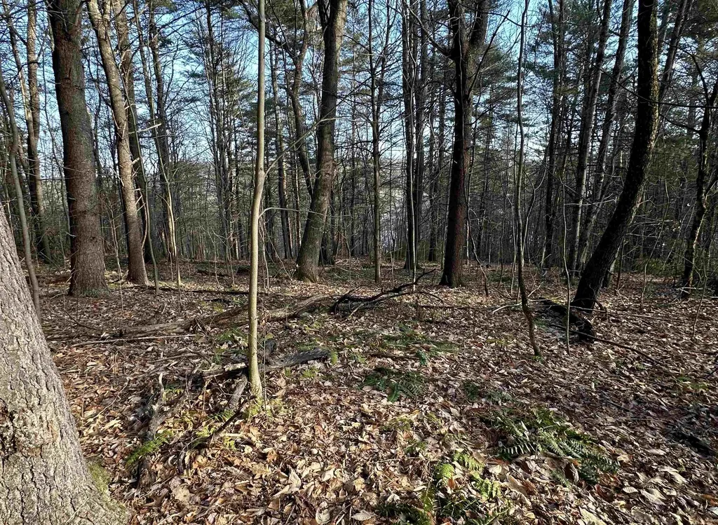 000 West Lake Road Poultney VT 05764