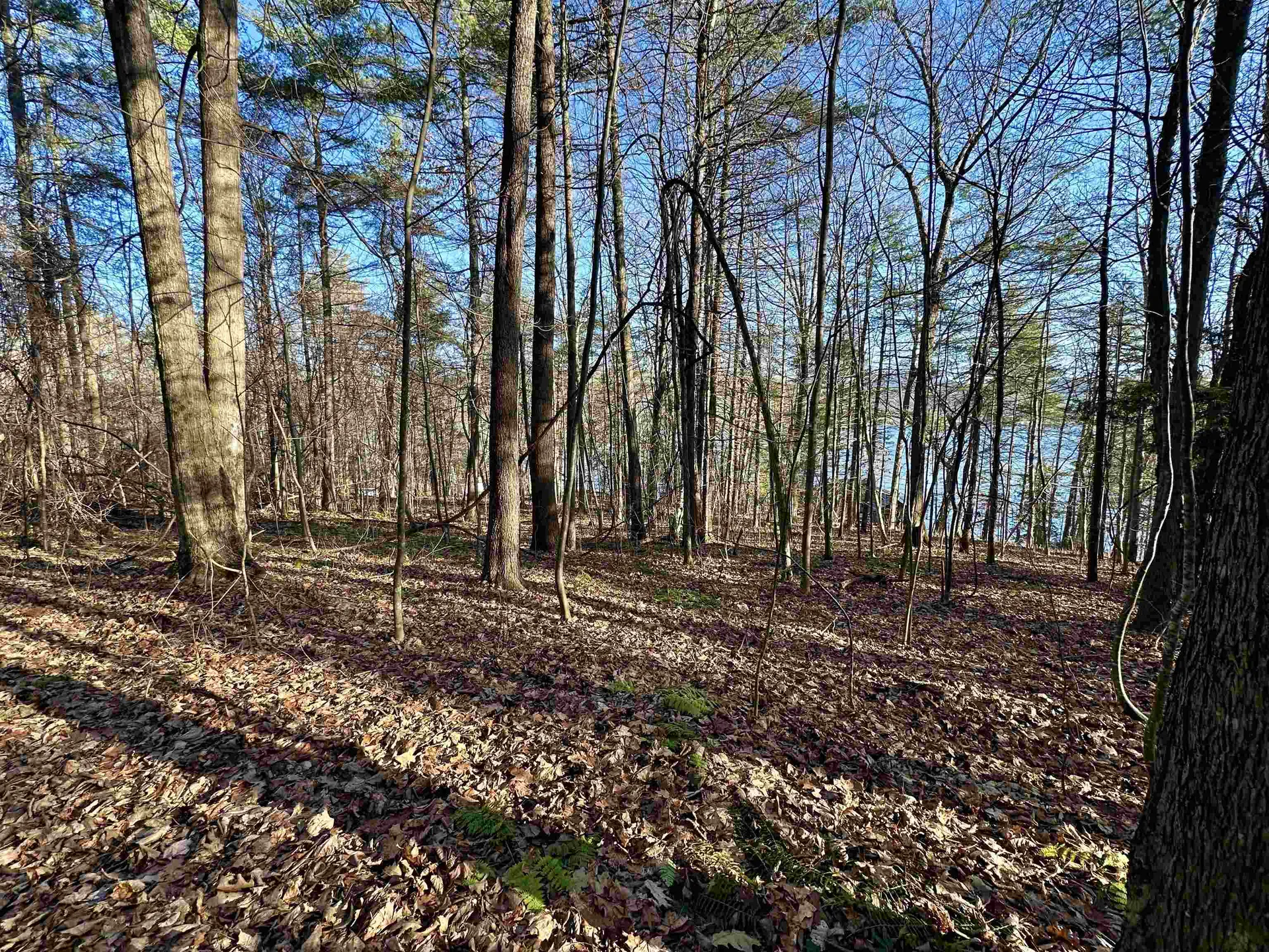 000 West Lake Road Poultney VT 05764