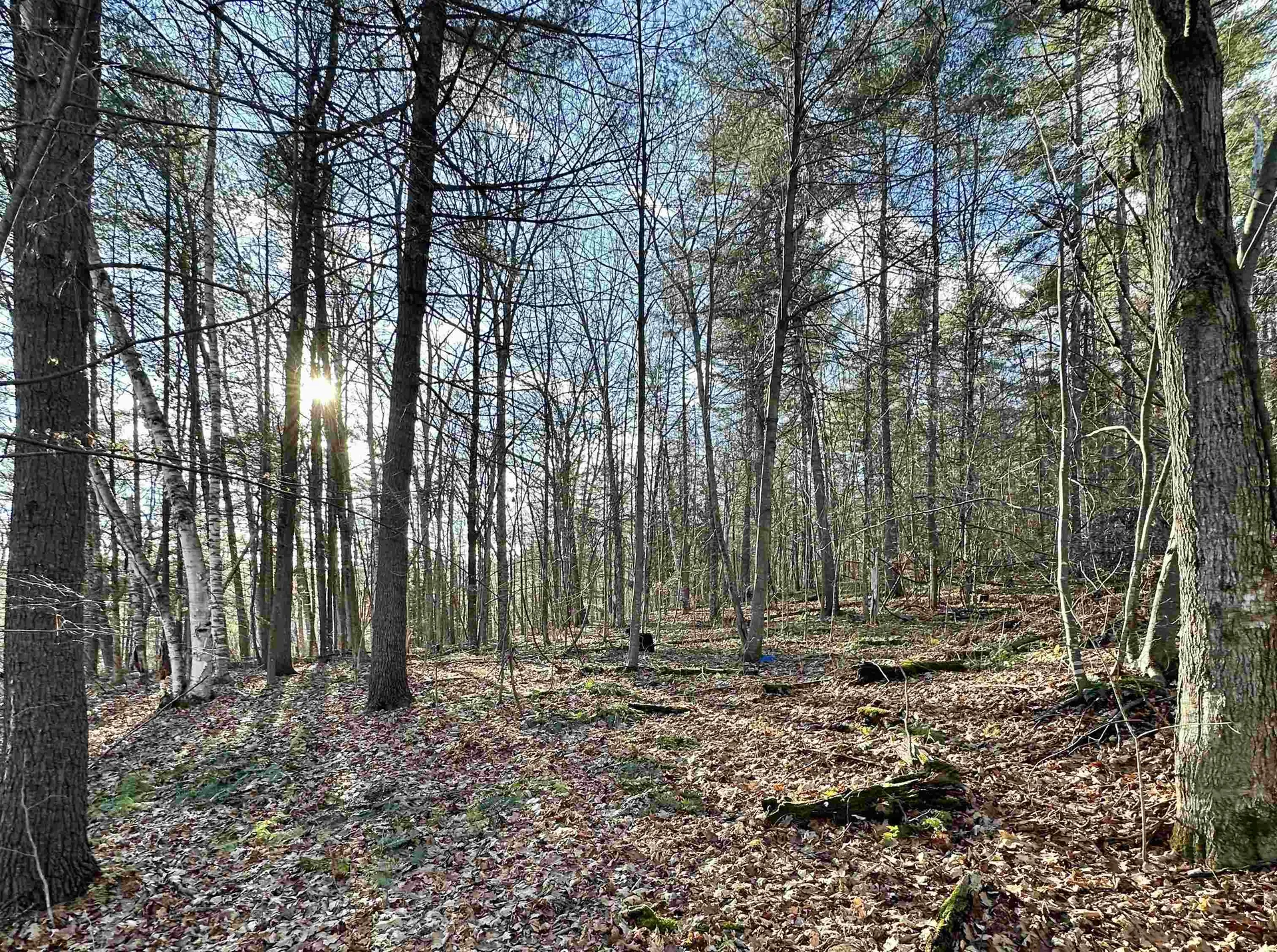 000 West Lake Road Poultney VT 05764