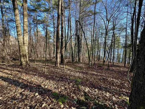 000 West Lake Road Poultney VT 05764