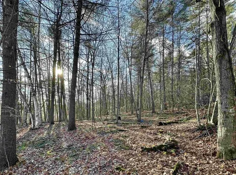 000 West Lake Road Poultney VT 05764