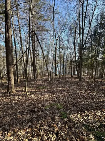 000 West Lake Road Poultney VT 05764