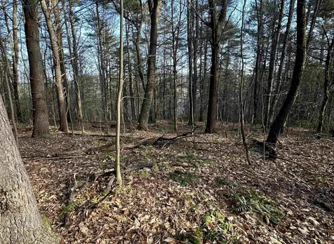 000 West Lake Road Poultney VT 05764