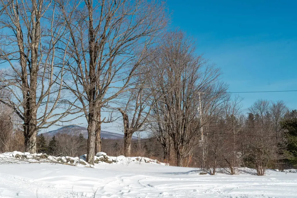 221 Teer Road Mount Holly VT 05758