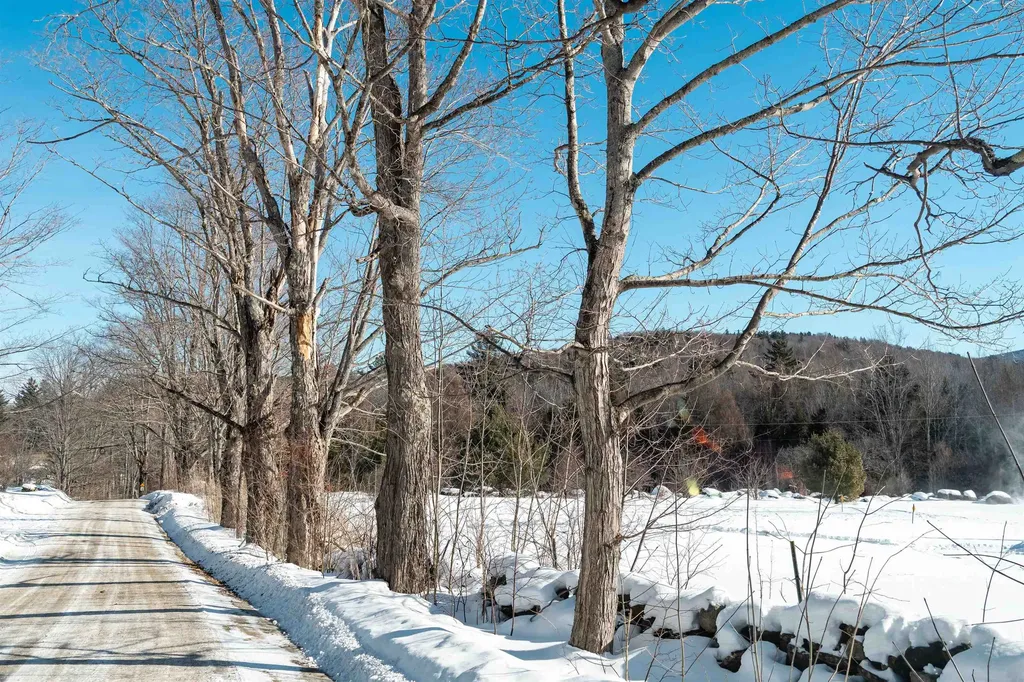 221 Teer Road Mount Holly VT 05758