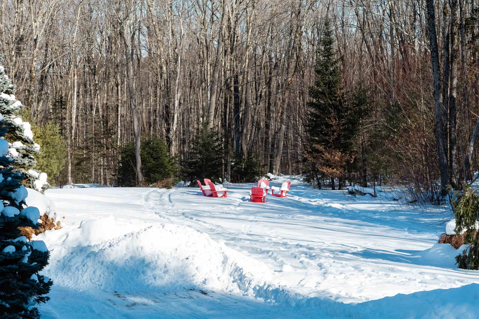 221 Teer Road Mount Holly VT 05758