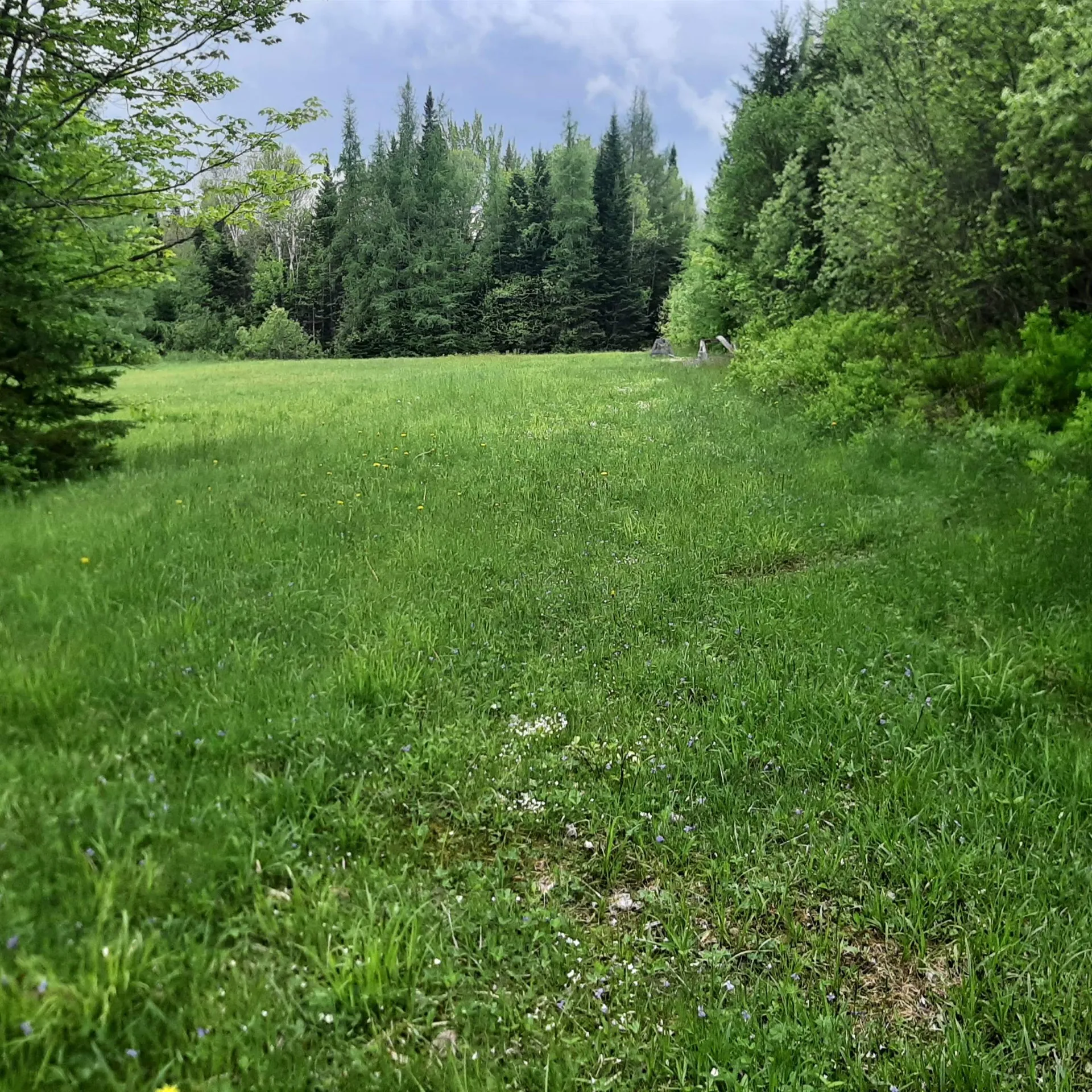 Carlton Hill Road Columbia NH 03576