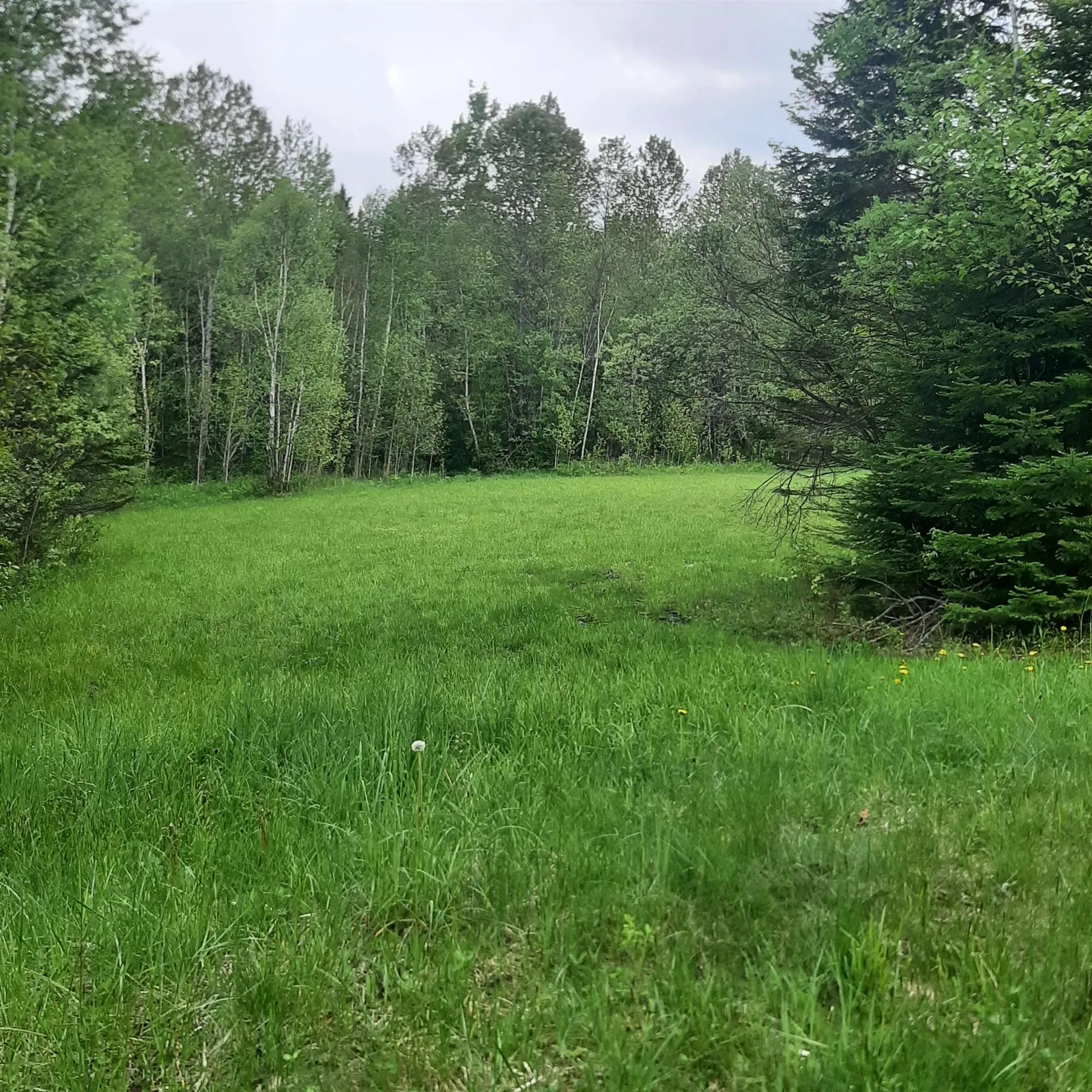 Carlton Hill Road Columbia NH 03576