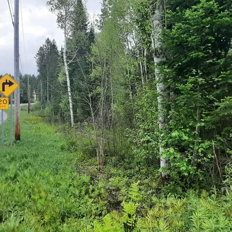 Carlton Hill Road Columbia NH 03576