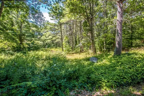 471 Wentworth Road Brookfield NH 03872