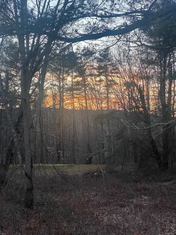 471 Wentworth Road Brookfield NH 03872