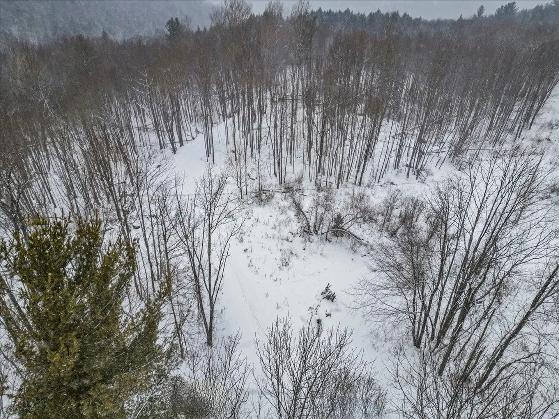 Lot 3 Mason Hill North Starksboro VT 05487