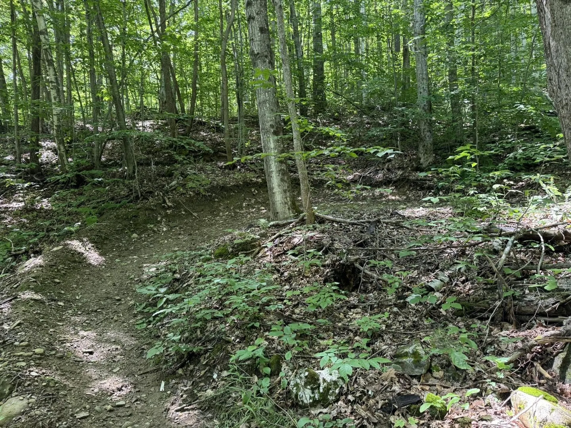 398 Sunrise Drive Huntington VT 05462