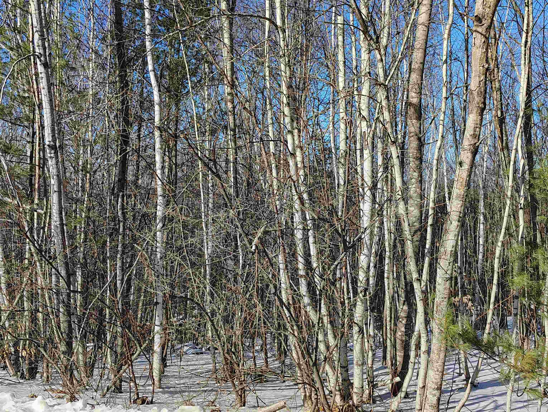 Scenic View Road Bristol NH 03222