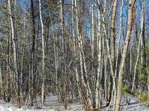 Scenic View Road Bristol NH 03222