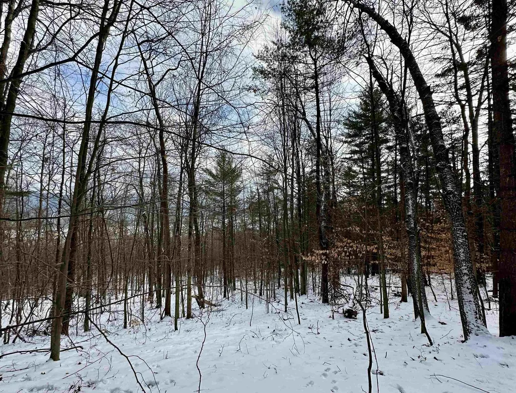 000 West Lake Road Poultney VT 05764