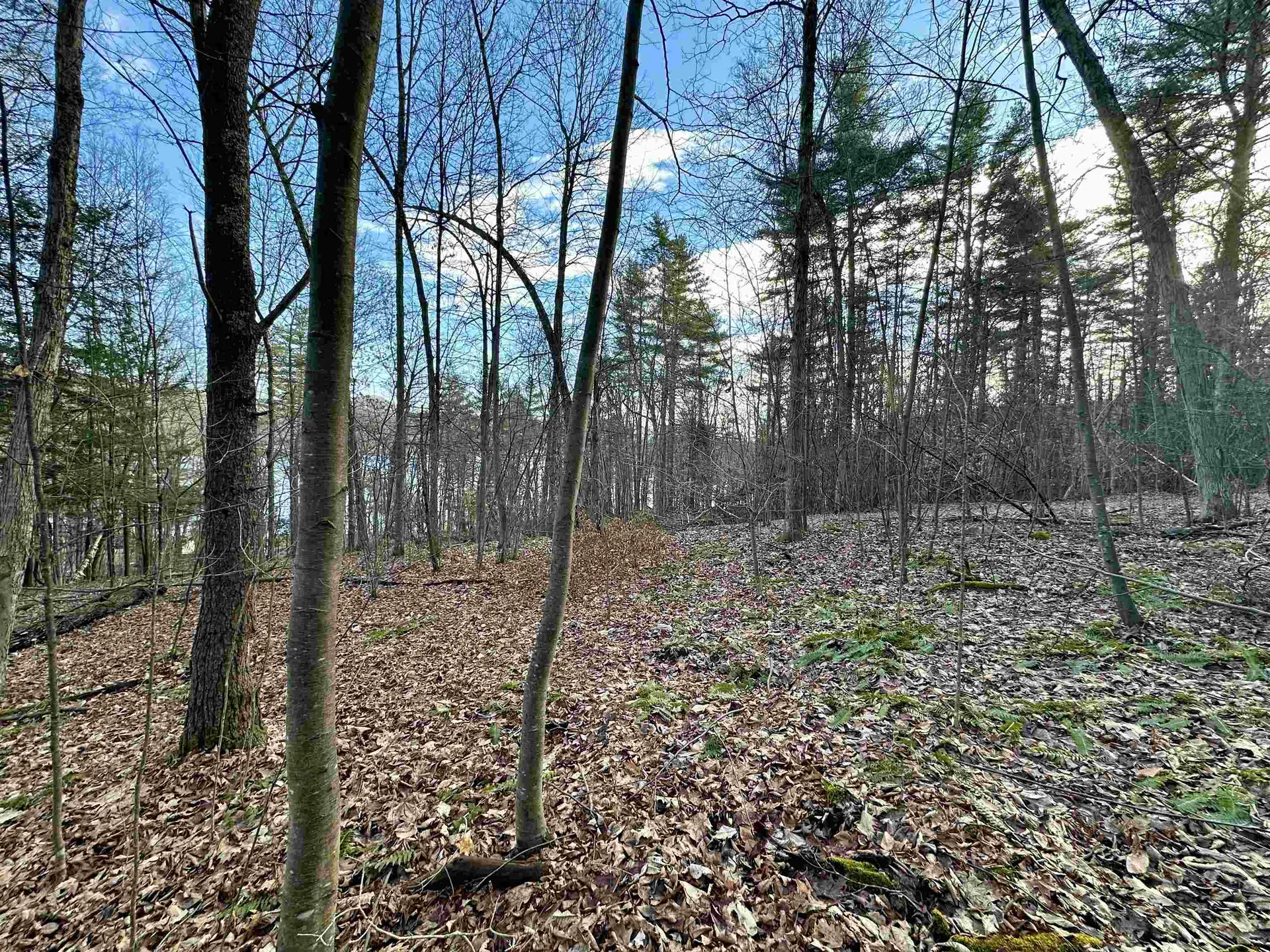 000 West Lake Road Poultney VT 05764