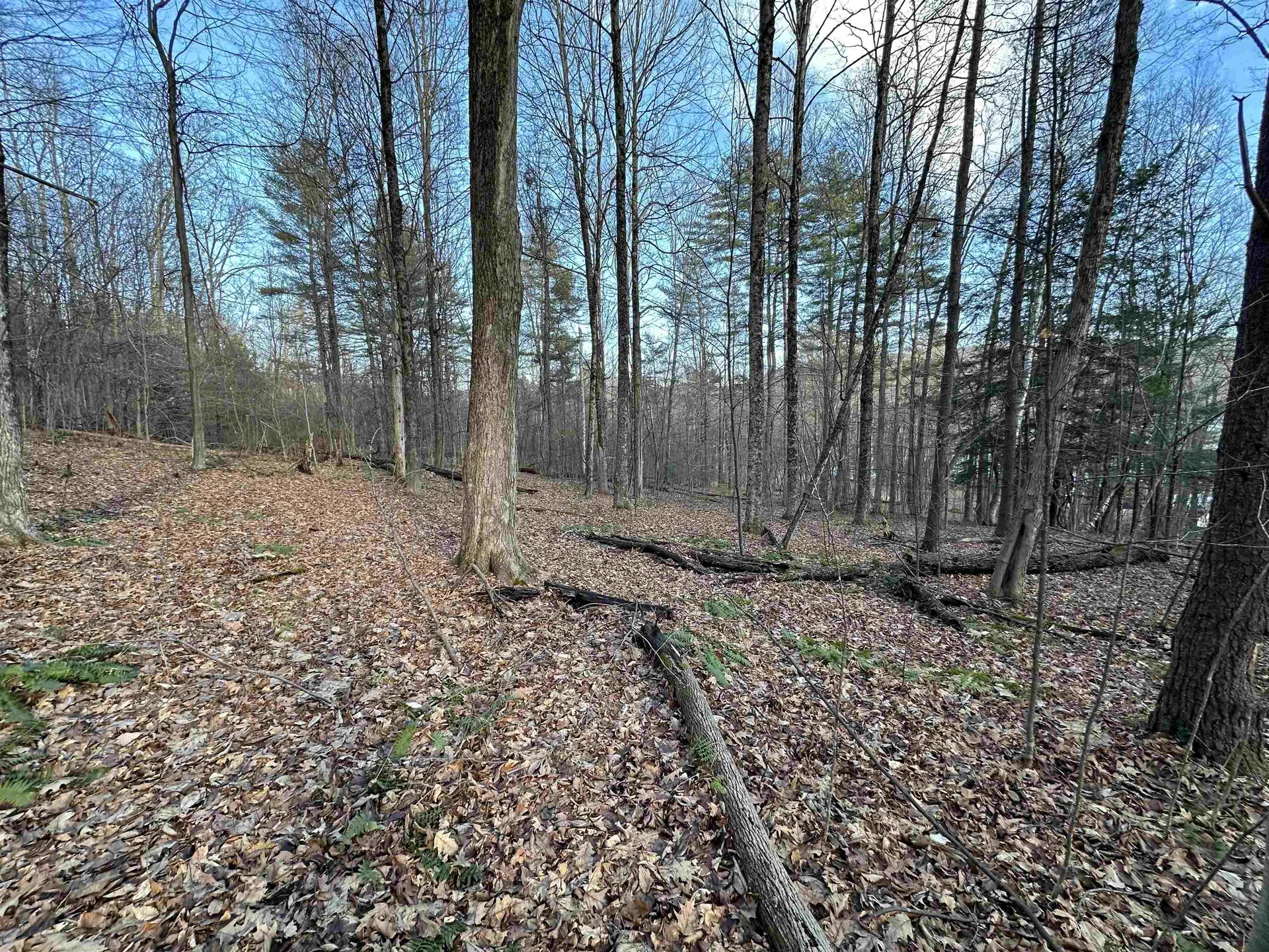 000 West Lake Road Poultney VT 05764