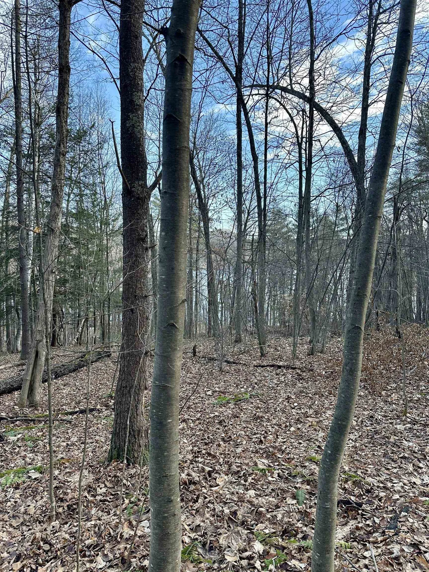 000 West Lake Road Poultney VT 05764