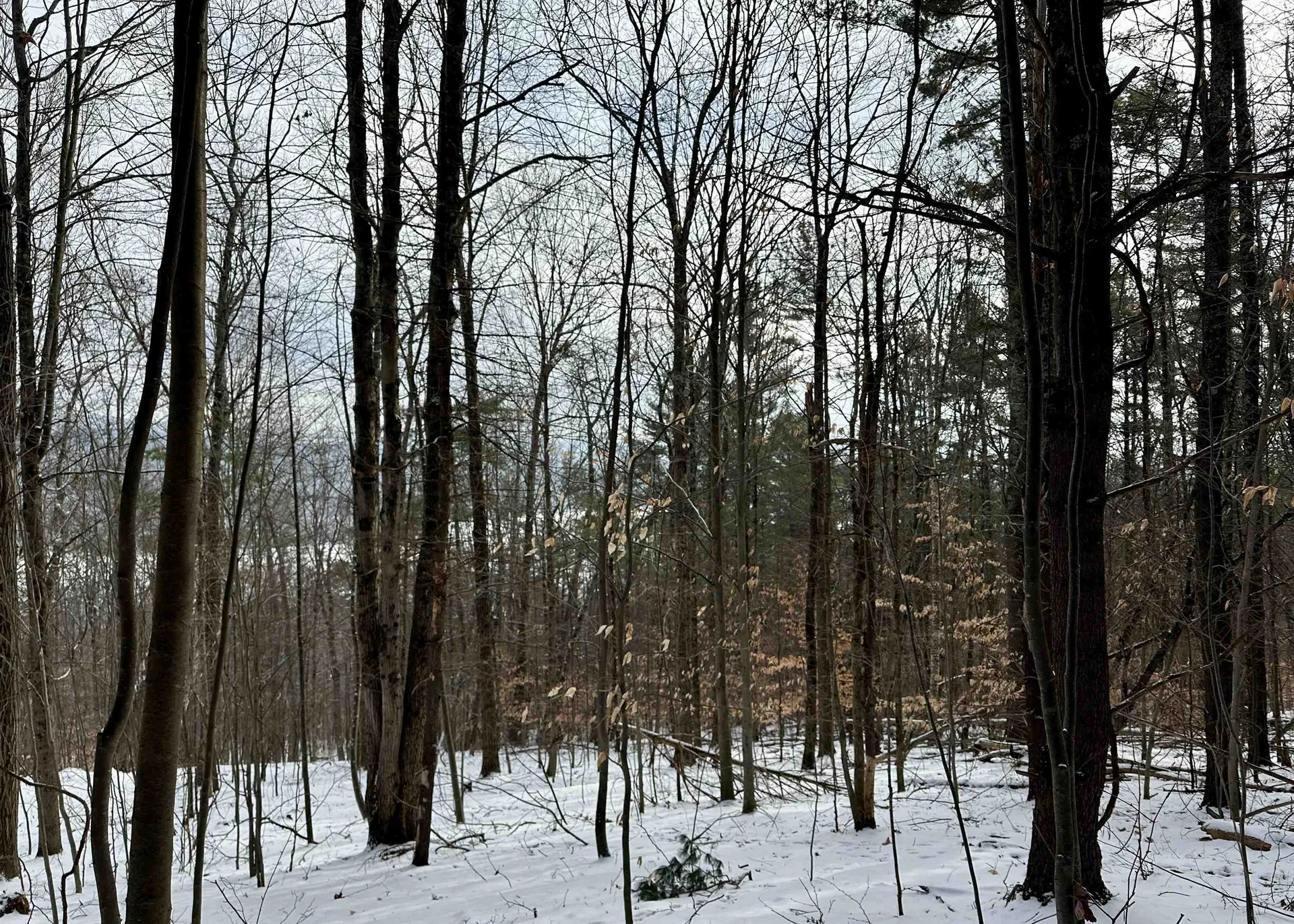 000 West Lake Road Poultney VT 05764