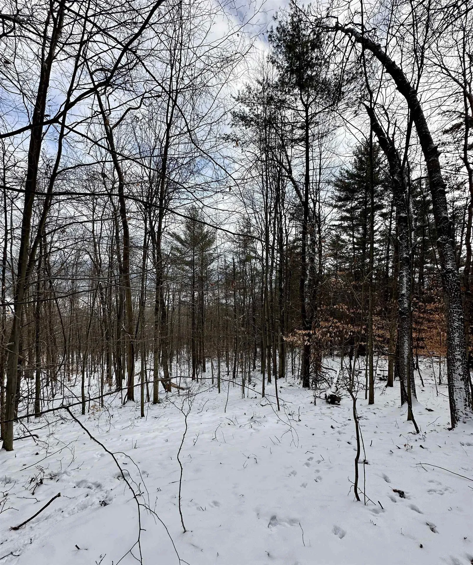 000 West Lake Road Poultney VT 05764