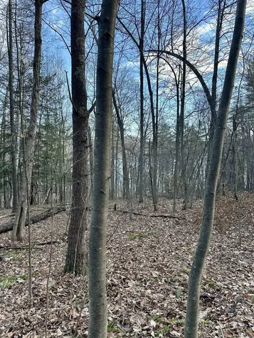 000 West Lake Road Poultney VT 05764