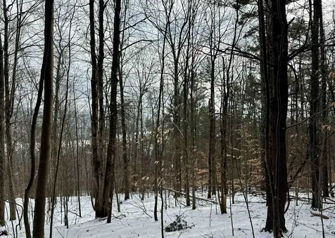 000 West Lake Road Poultney VT 05764