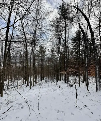 000 West Lake Road Poultney VT 05764