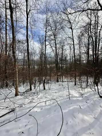 000 West Lake Road Poultney VT 05764