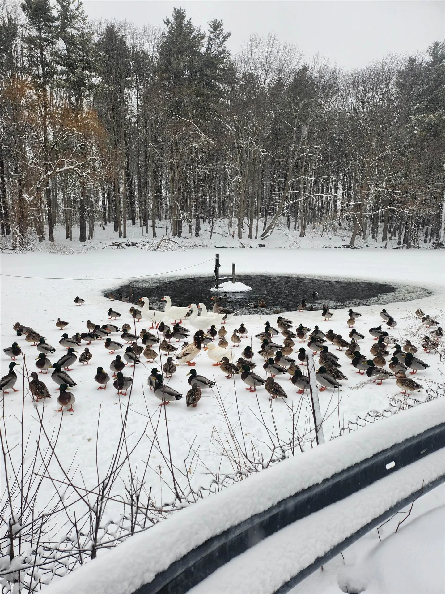 64 Raydon Road York ME 03909