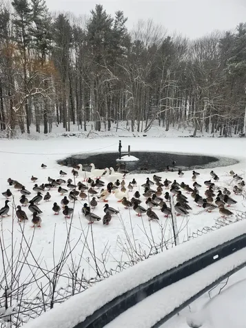 64 Raydon Road York ME 03909