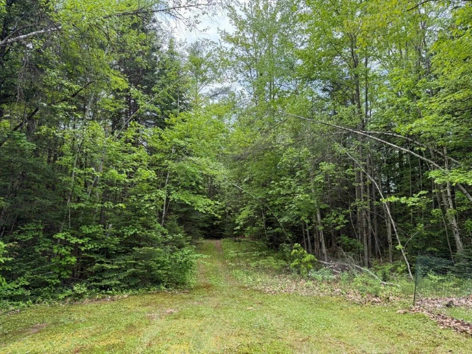 88 South Road Canaan NH 03741