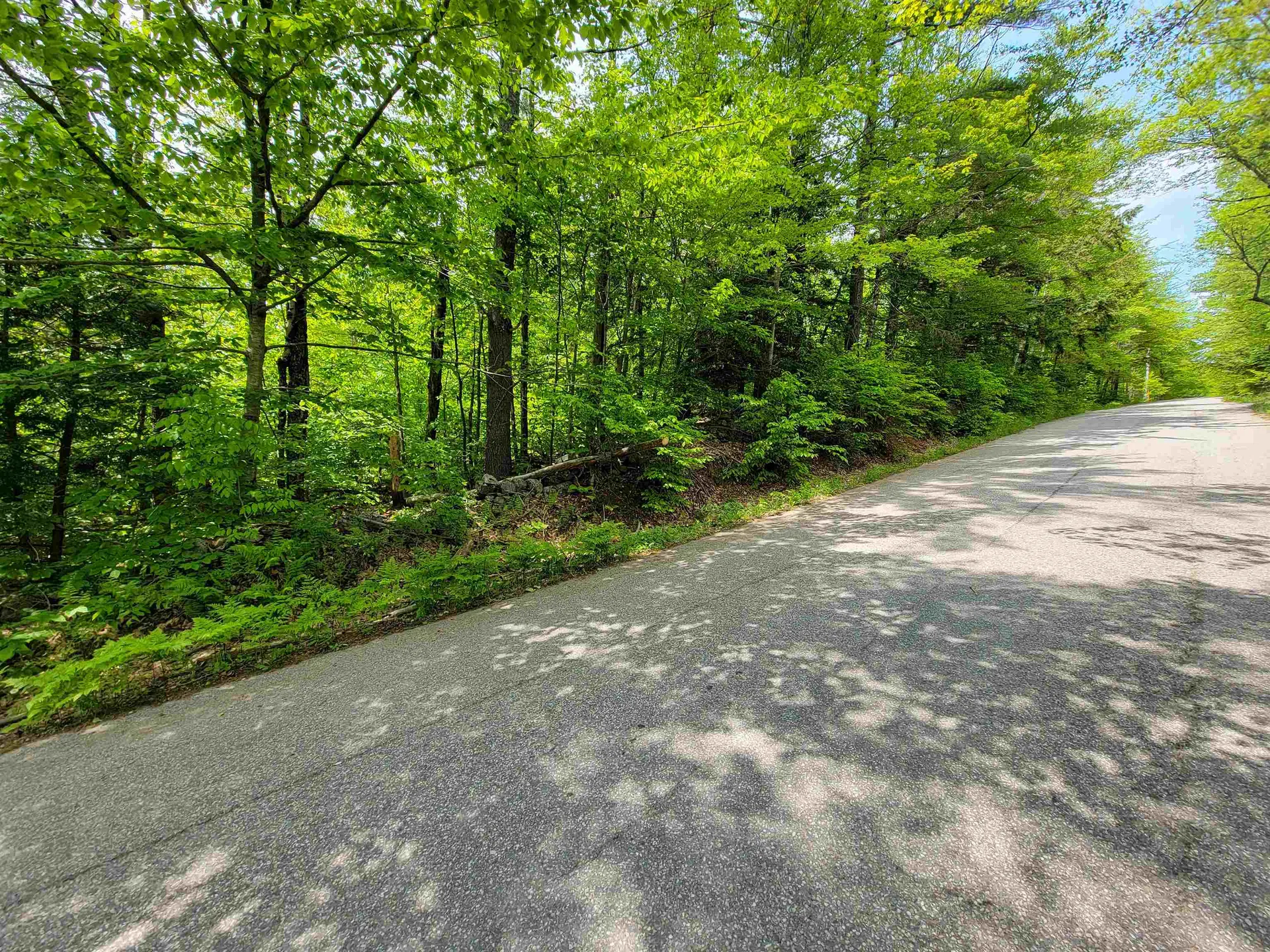 1105 South Hill Road Jamaica VT 05343