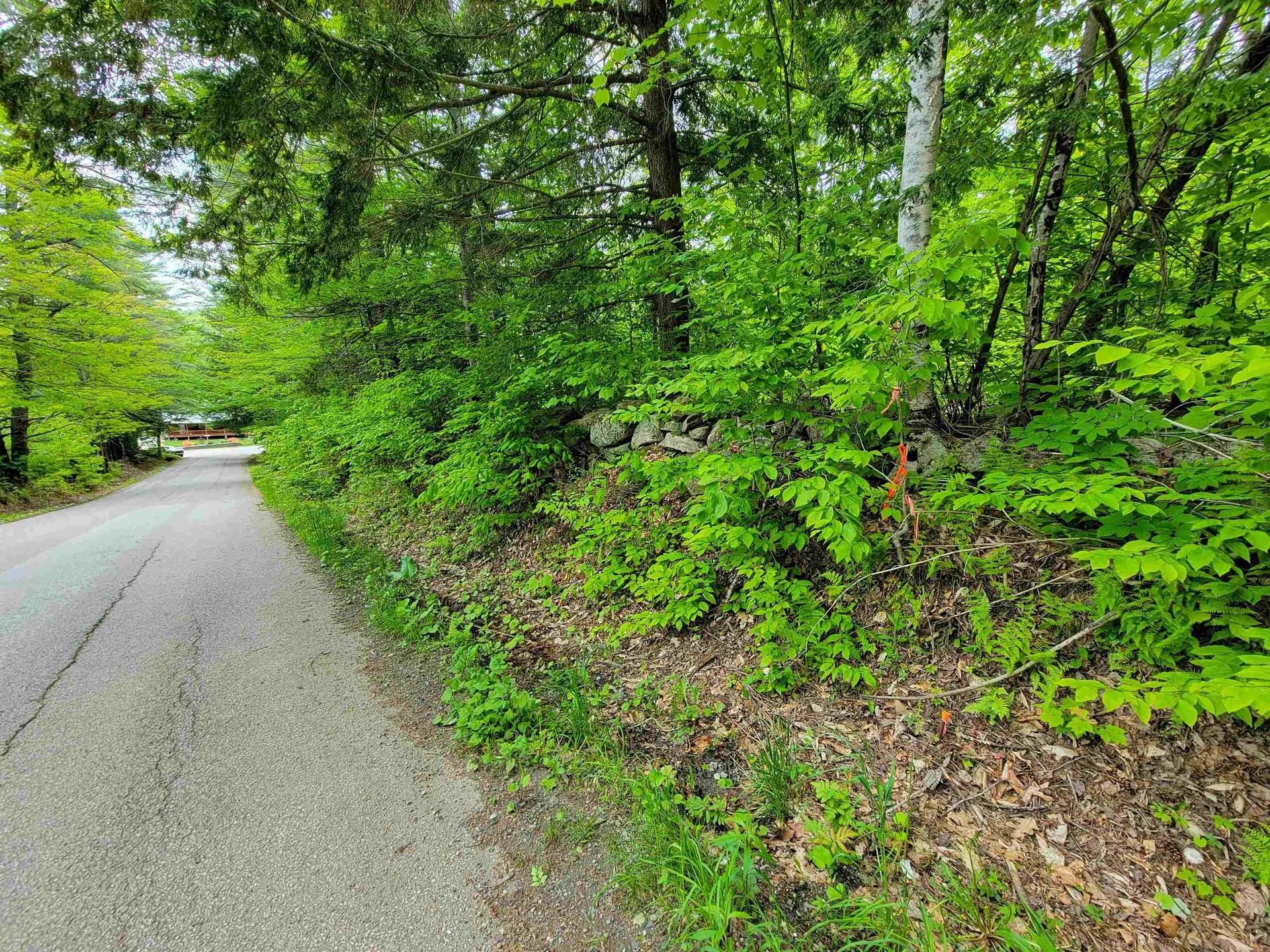 1105 South Hill Road Jamaica VT 05343